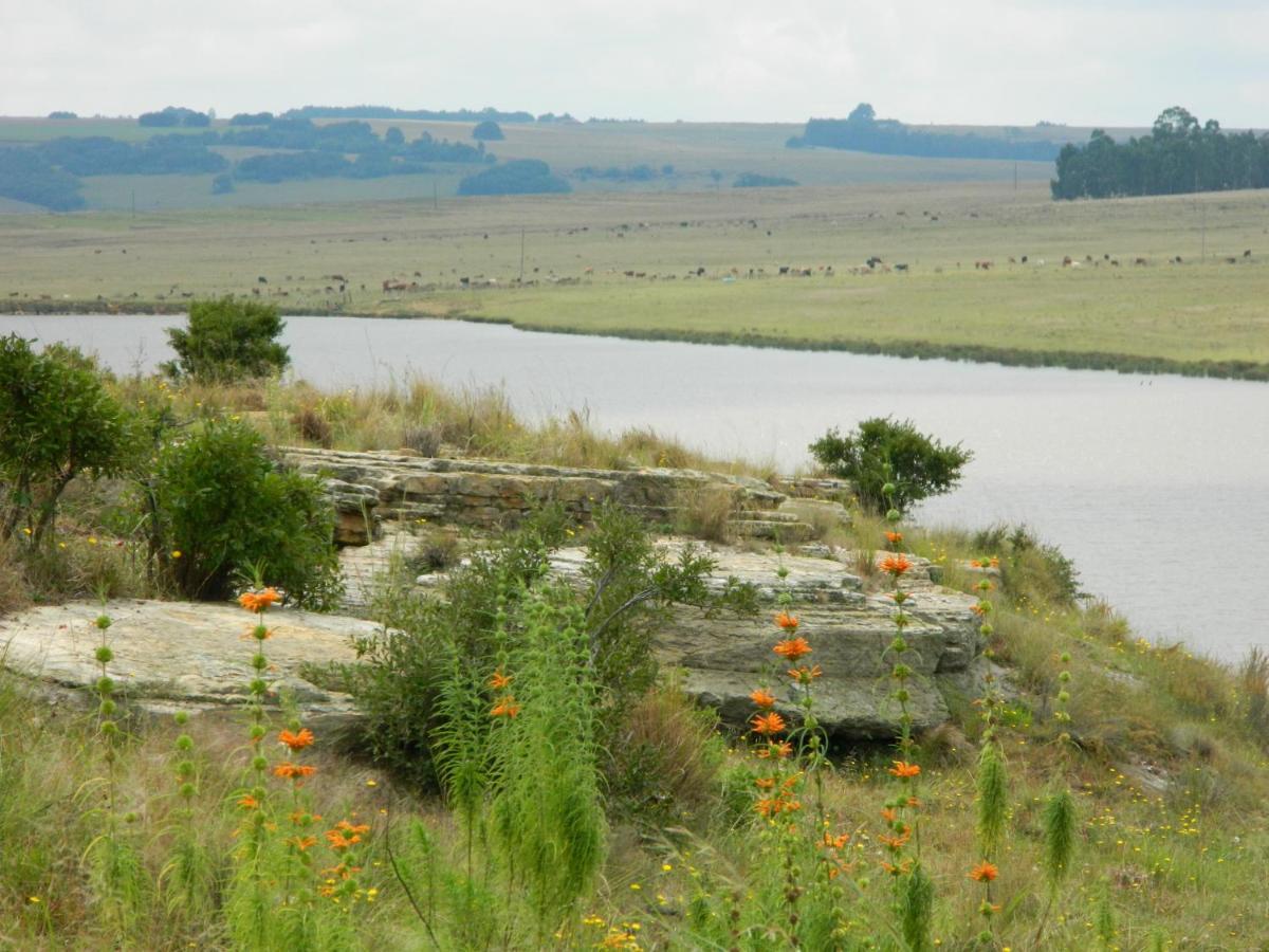 La Vista Farm Stay Ermelo Exteriör bild