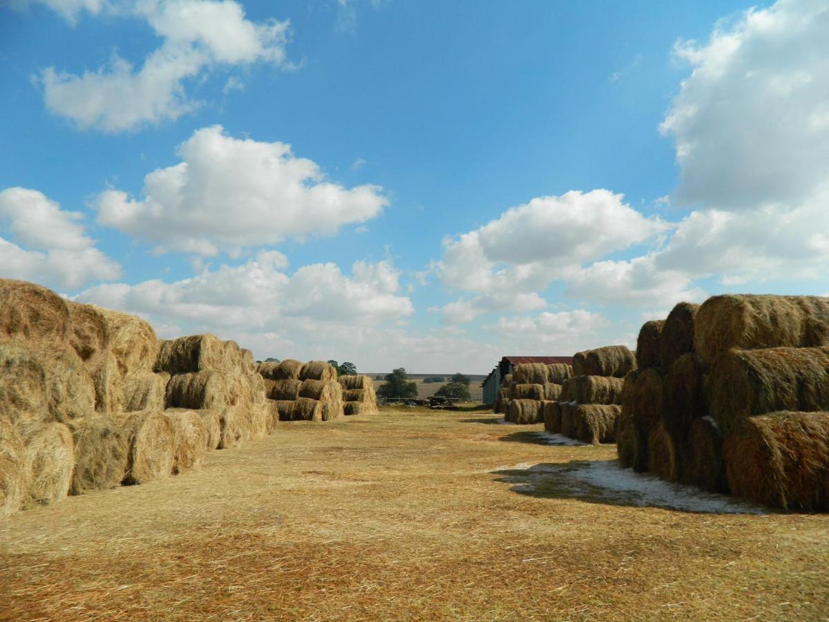 La Vista Farm Stay Ermelo Exteriör bild