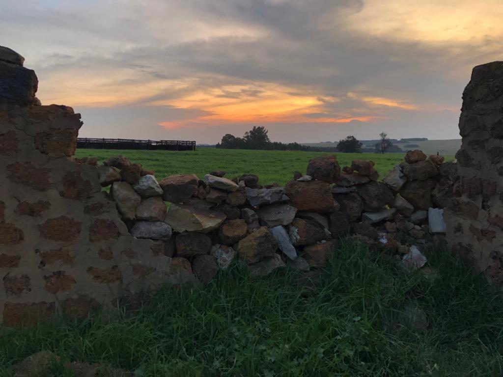 La Vista Farm Stay Ermelo Exteriör bild