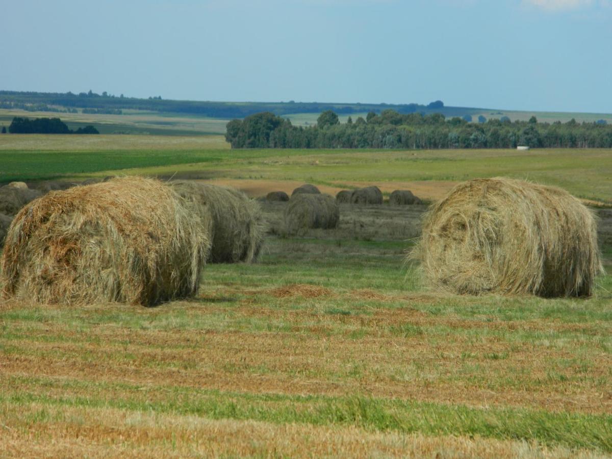 La Vista Farm Stay Ermelo Exteriör bild